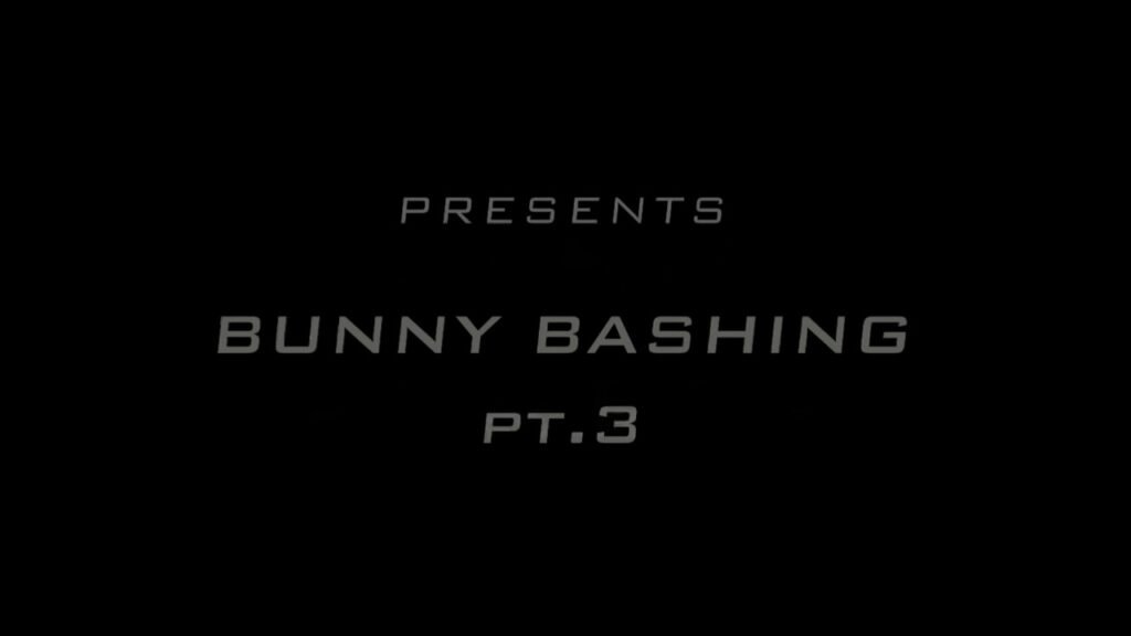 Bunny Bashing