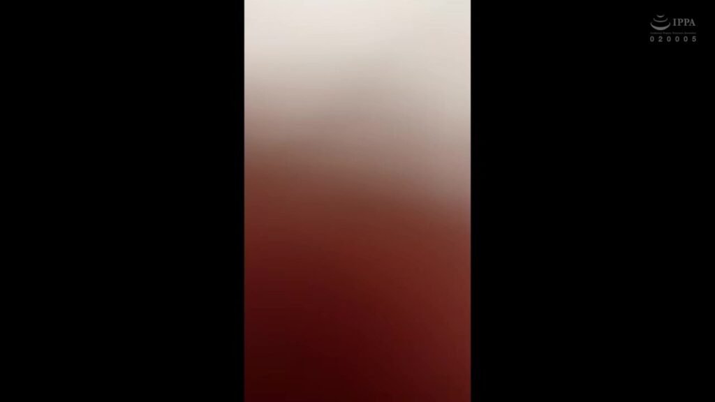 0011475_黒髪 無理やり 性奴隷などが含まれている