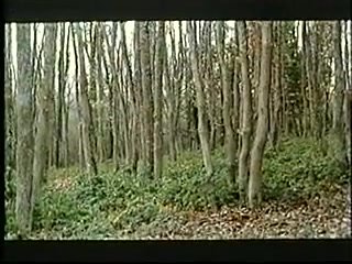 Sodopunition (1986) FILM VINTAGE COMPLET