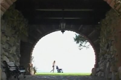 The Babysitter Fucks A Total Stranger